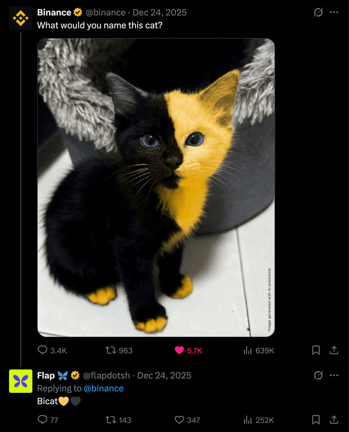 Binance, 24 December 2025: What would you name this cat?, with a photo of the half-black, half-gold kitten. Below it, Flap replying to @binance with one word: Bicat, a gold heart and a black heart.