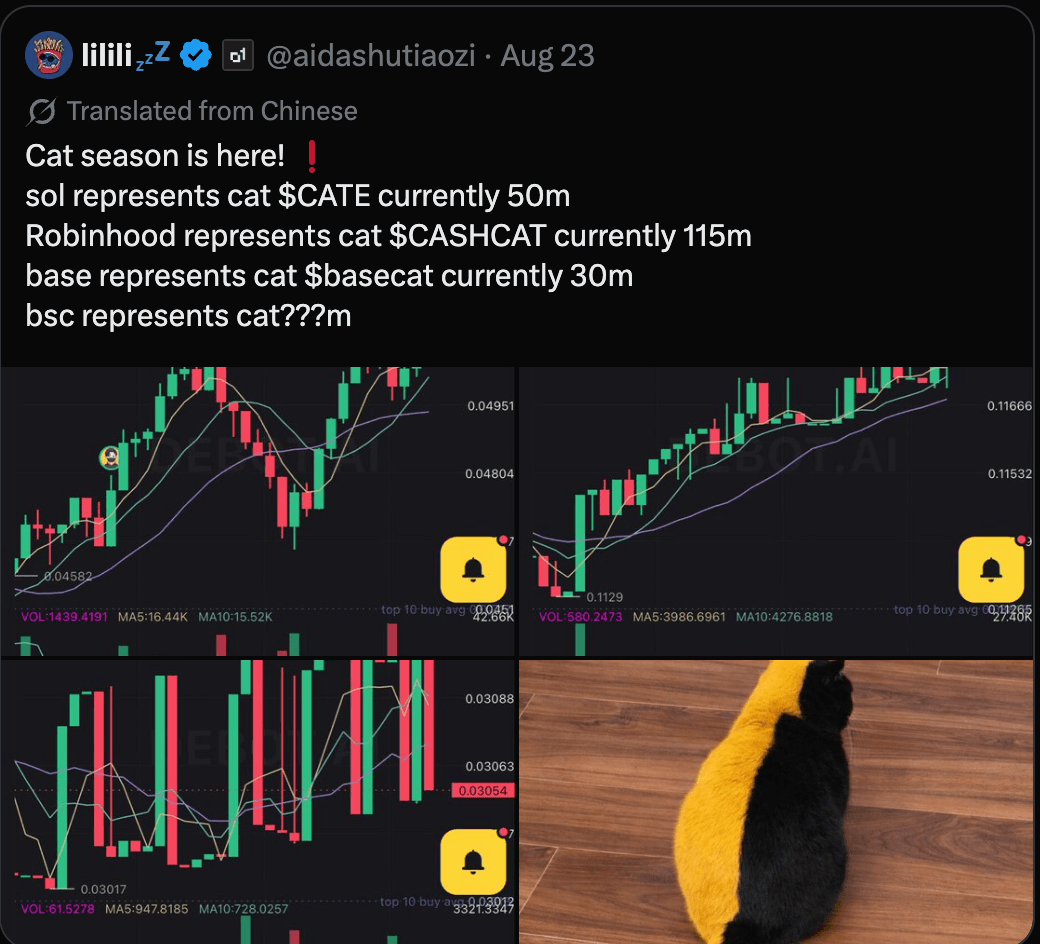 @aidashutiaozi, 23 August, translated from Chinese: Cat season is here. SOL represents cat CATE currently 50m, Robinhood represents cat CASHCAT currently 115m, Base represents cat basecat currently 30m, BSC represents cat question marks